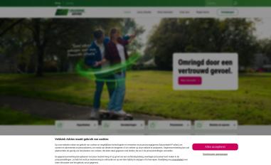 Schermafbeelding van veldsink.nl