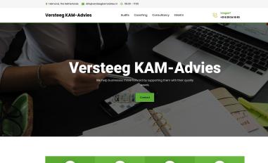 Schermafbeelding van versteegkamadvies.nl