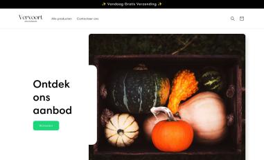 Schermafbeelding van vervoort-amsterdam.com