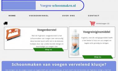 Schermafbeelding van voegen-schoonmaken.nl