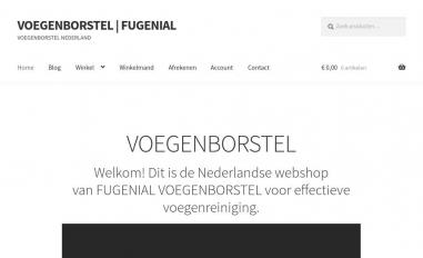 Schermafbeelding van voegenborstel.nl