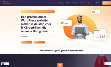 Schermafbeelding van voiceofthecustomers.com