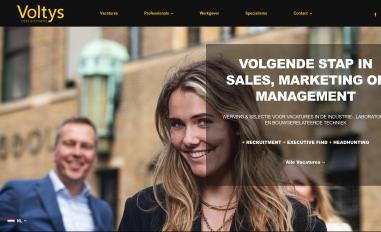 Schermafbeelding van voltys.nl