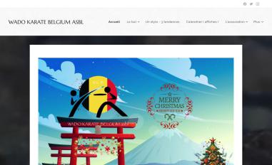 Schermafbeelding van wadokaratebelgium.be