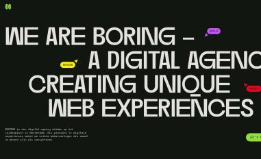 Schermafbeelding van weareboring.nl