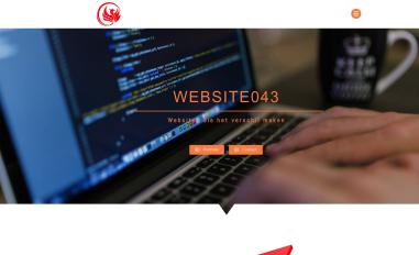Schermafbeelding van website043.nl