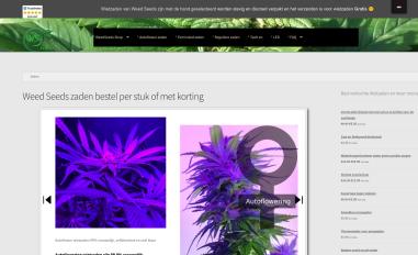 Schermafbeelding van weedseeds.site