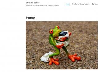Schermafbeelding van werkenstress.nl
