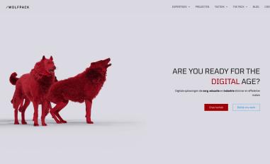 Schermafbeelding van wolfpackit.nl