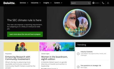 Schermafbeelding van www2.deloitte.com