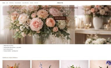 Schermafbeelding van zijdenenzij.nl