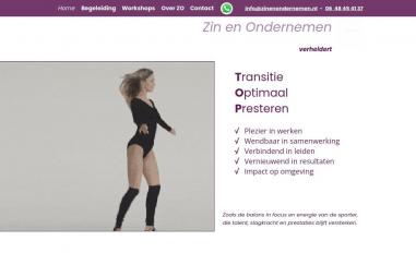 Schermafbeelding van zinenondernemen.nl