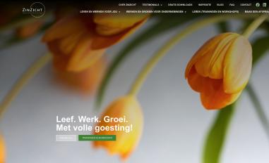 Schermafbeelding van zinzicht.be