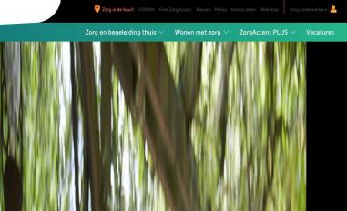 Schermafbeelding van zorgaccent.nl